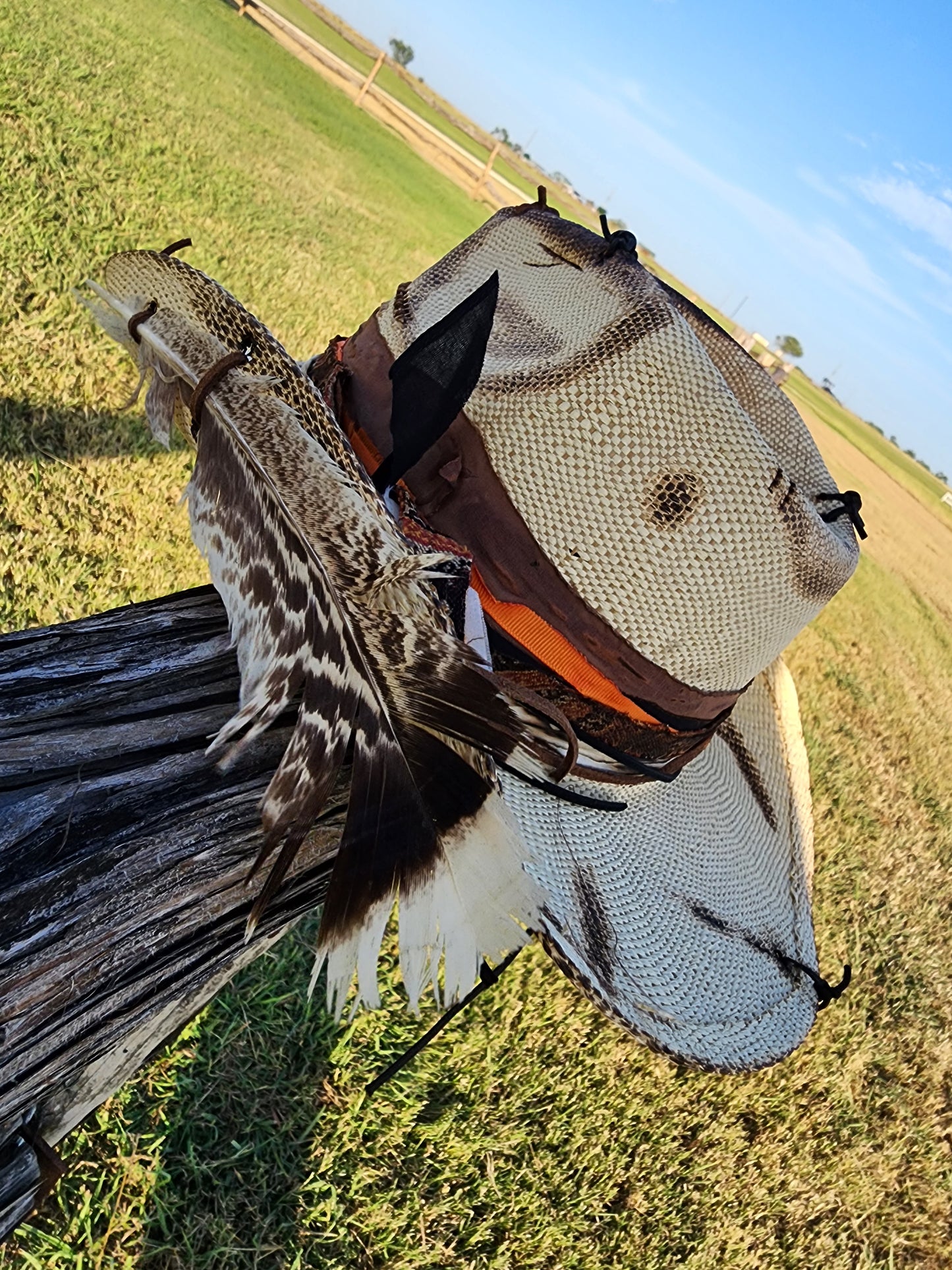 The "Song of the South" Lid