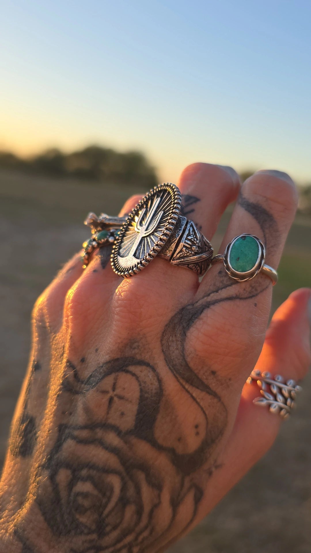 The Sunizona Ring
