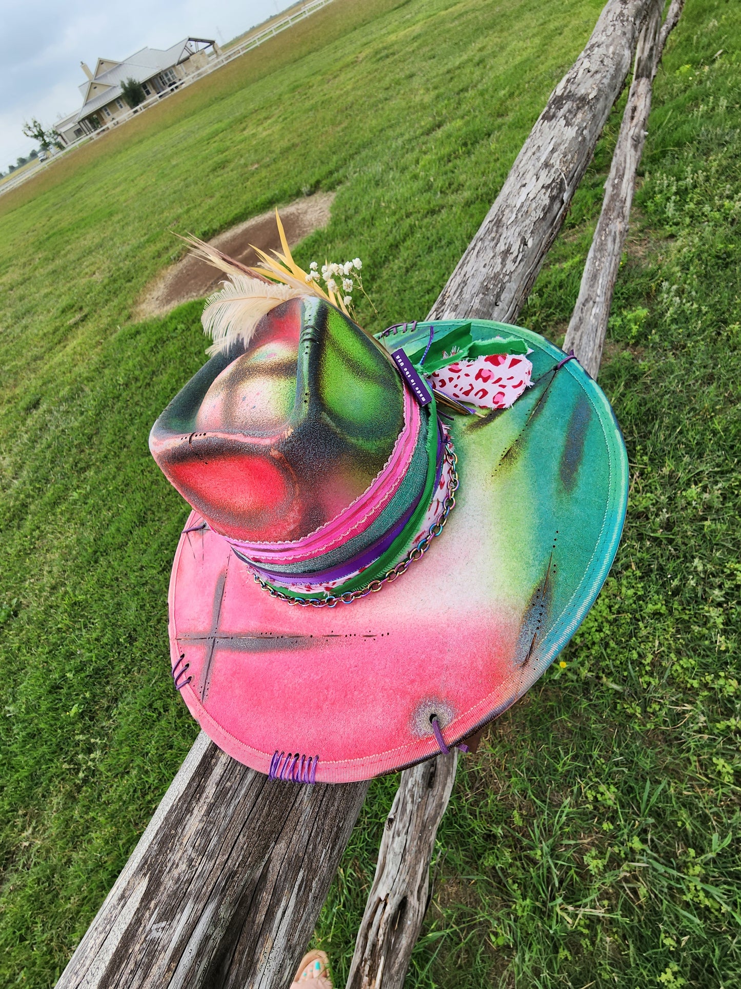 The "Colors" Lid