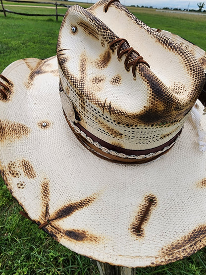 The "Chicks" Lid