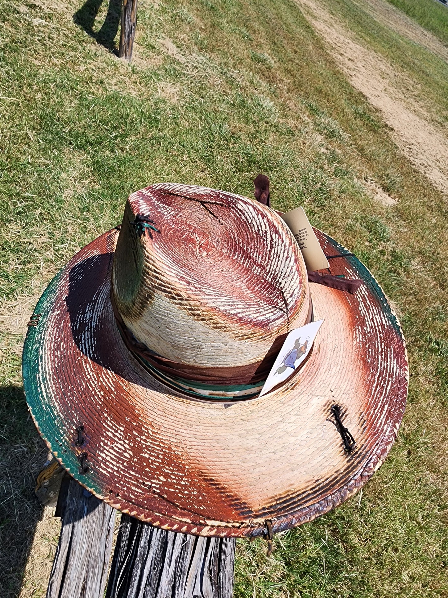 The "Roadrunner" Lid