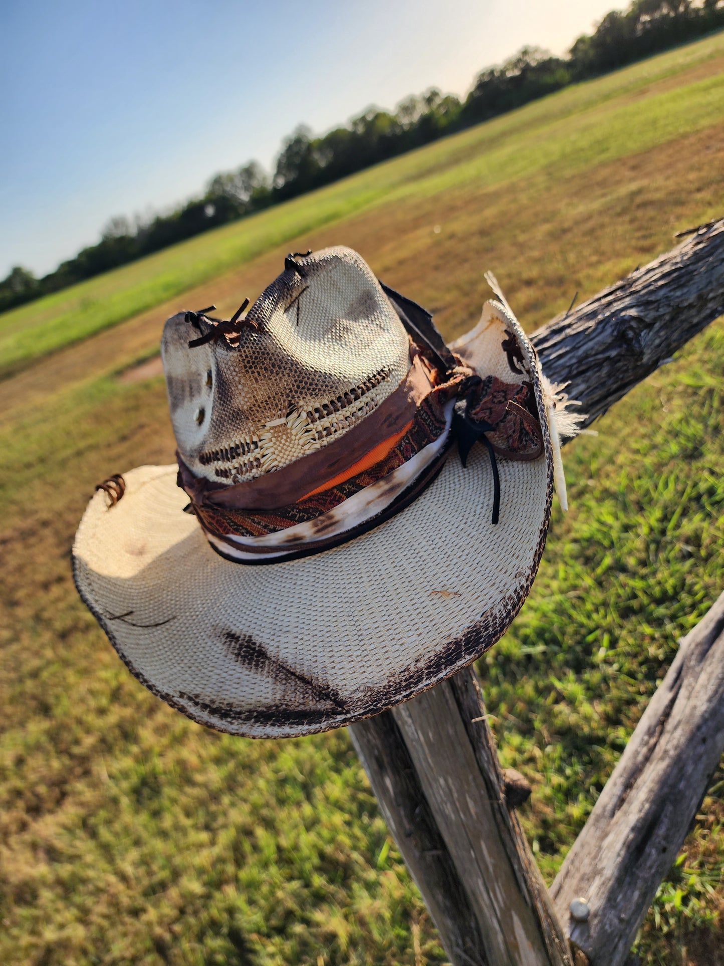 The "Song of the South" Lid