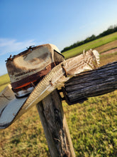 Load image into Gallery viewer, The &quot;Song of the South&quot; Lid
