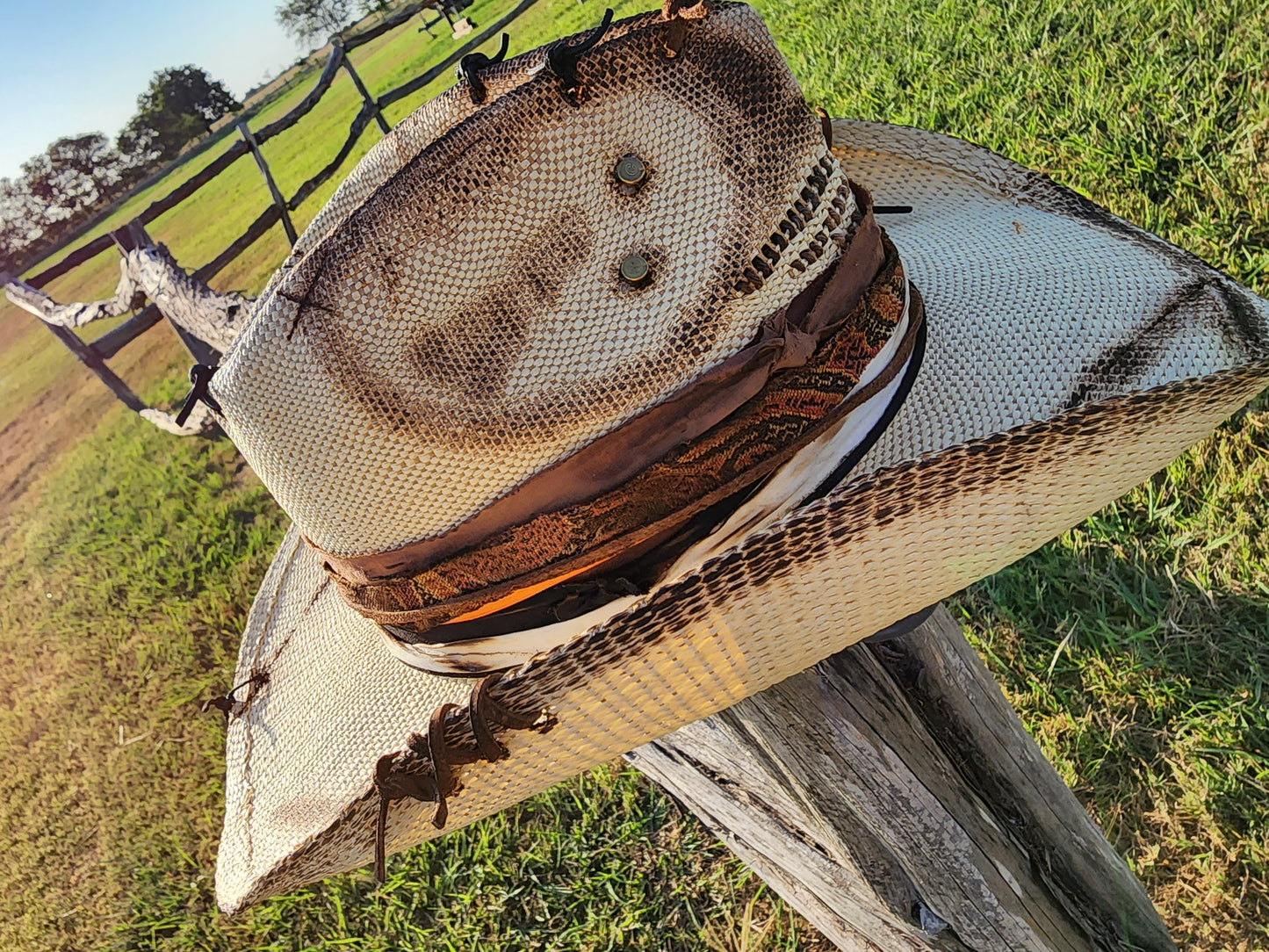 The "Song of the South" Lid