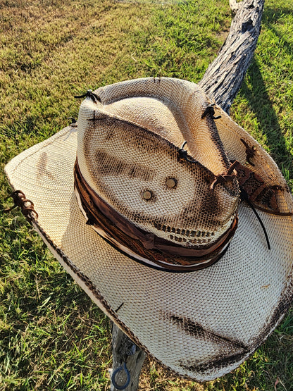The "Song of the South" Lid