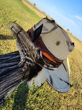 Load image into Gallery viewer, The &quot;Song of the South&quot; Lid
