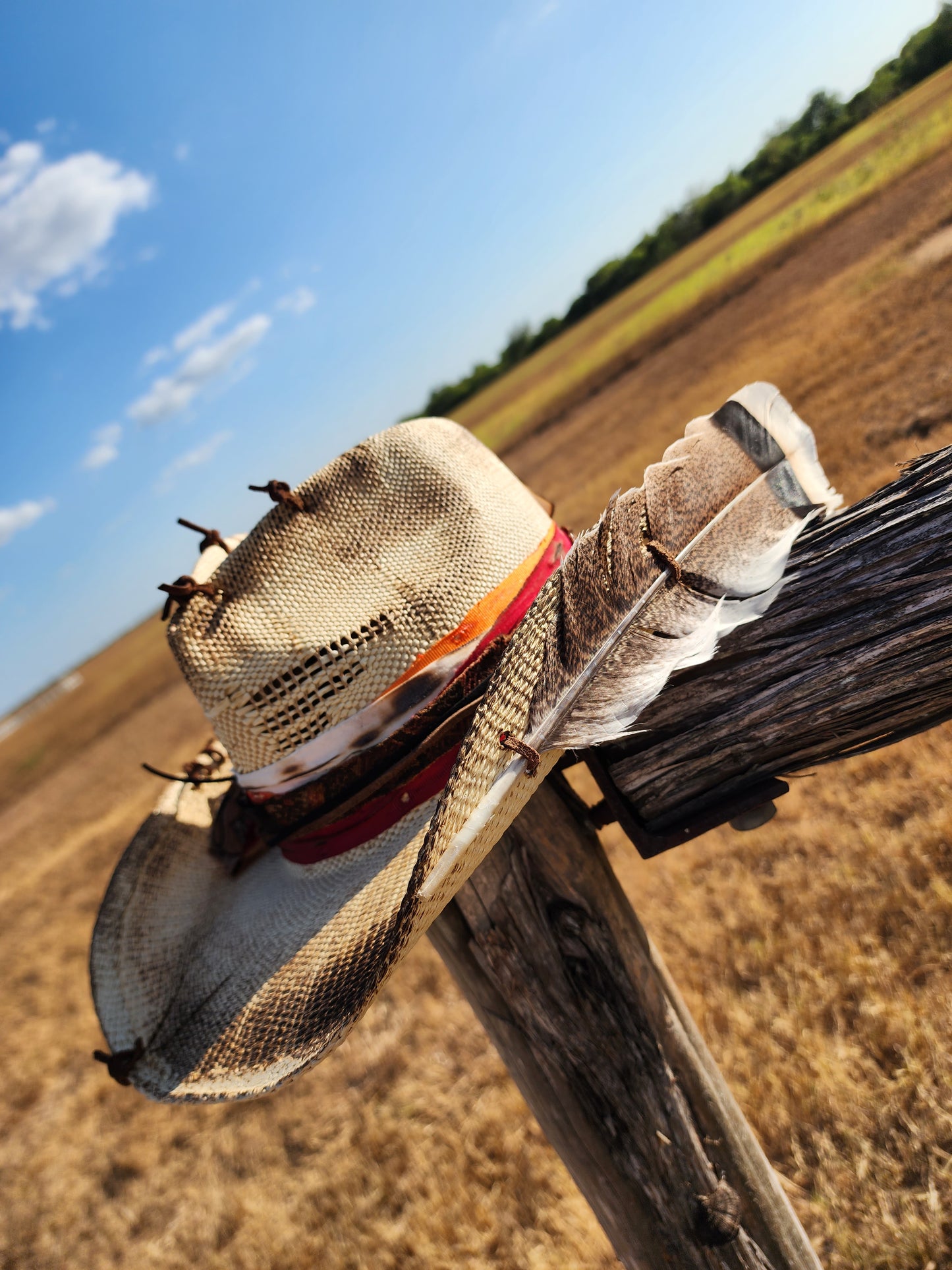 The "Trudy" Lid