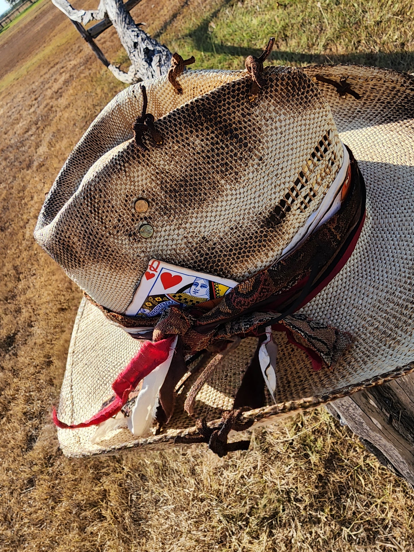 The "Trudy" Lid