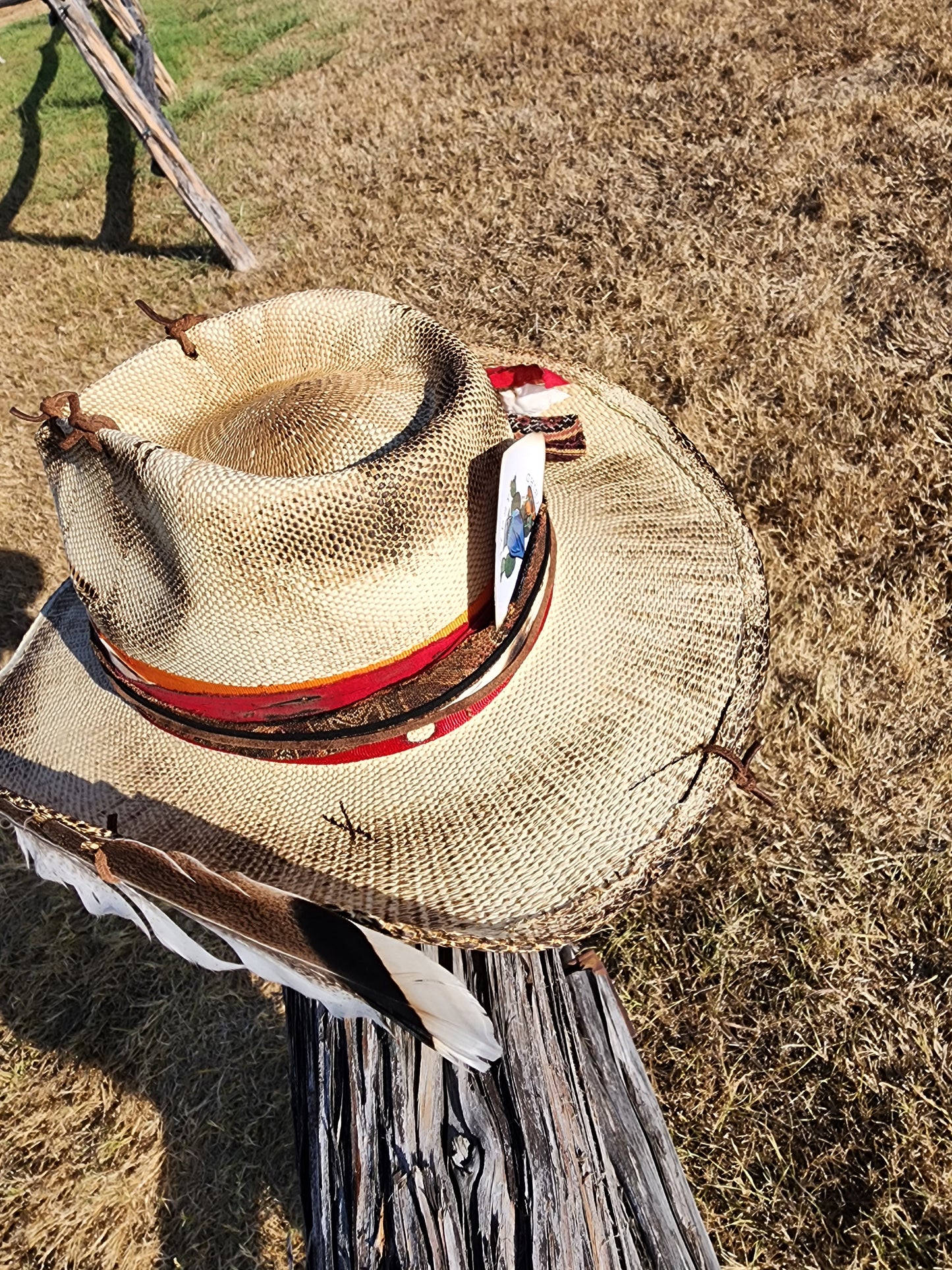 The "Trudy" Lid