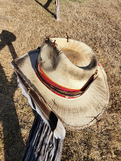 The "Trudy" Lid