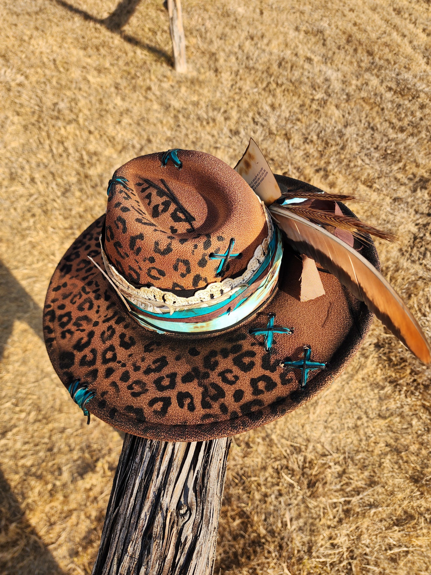 The "Wild" Lid