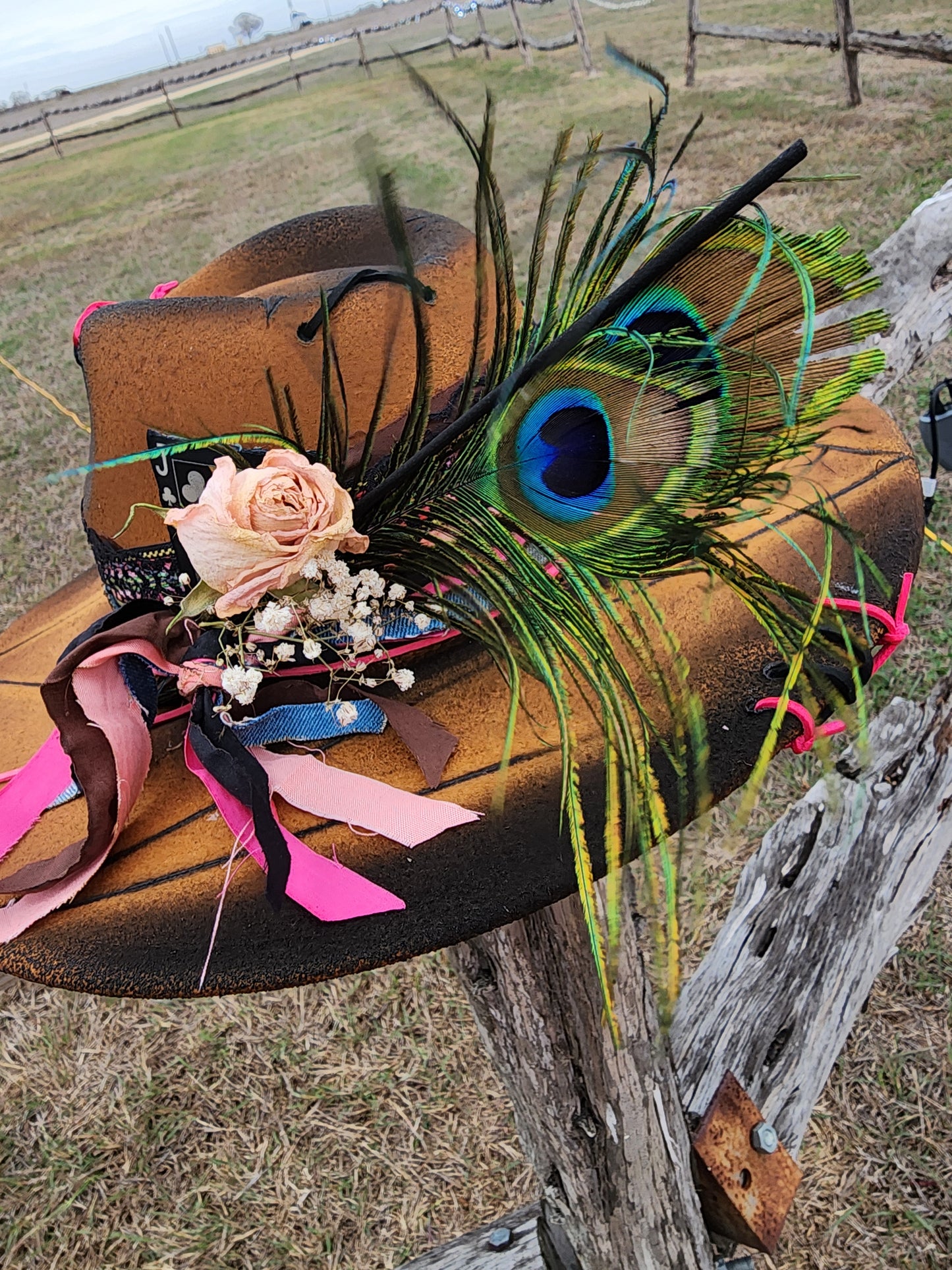 The "Lupita" Lid
