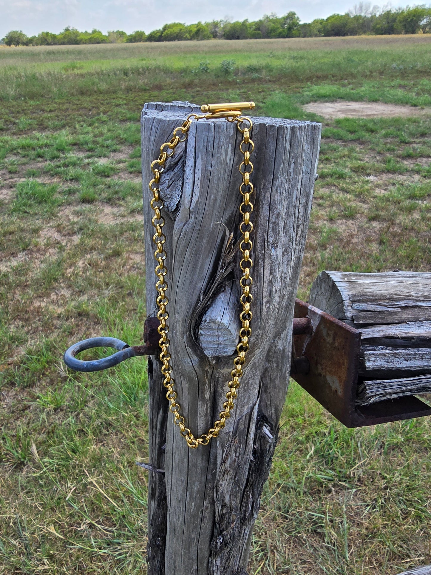 Chunky Chain Necklace
