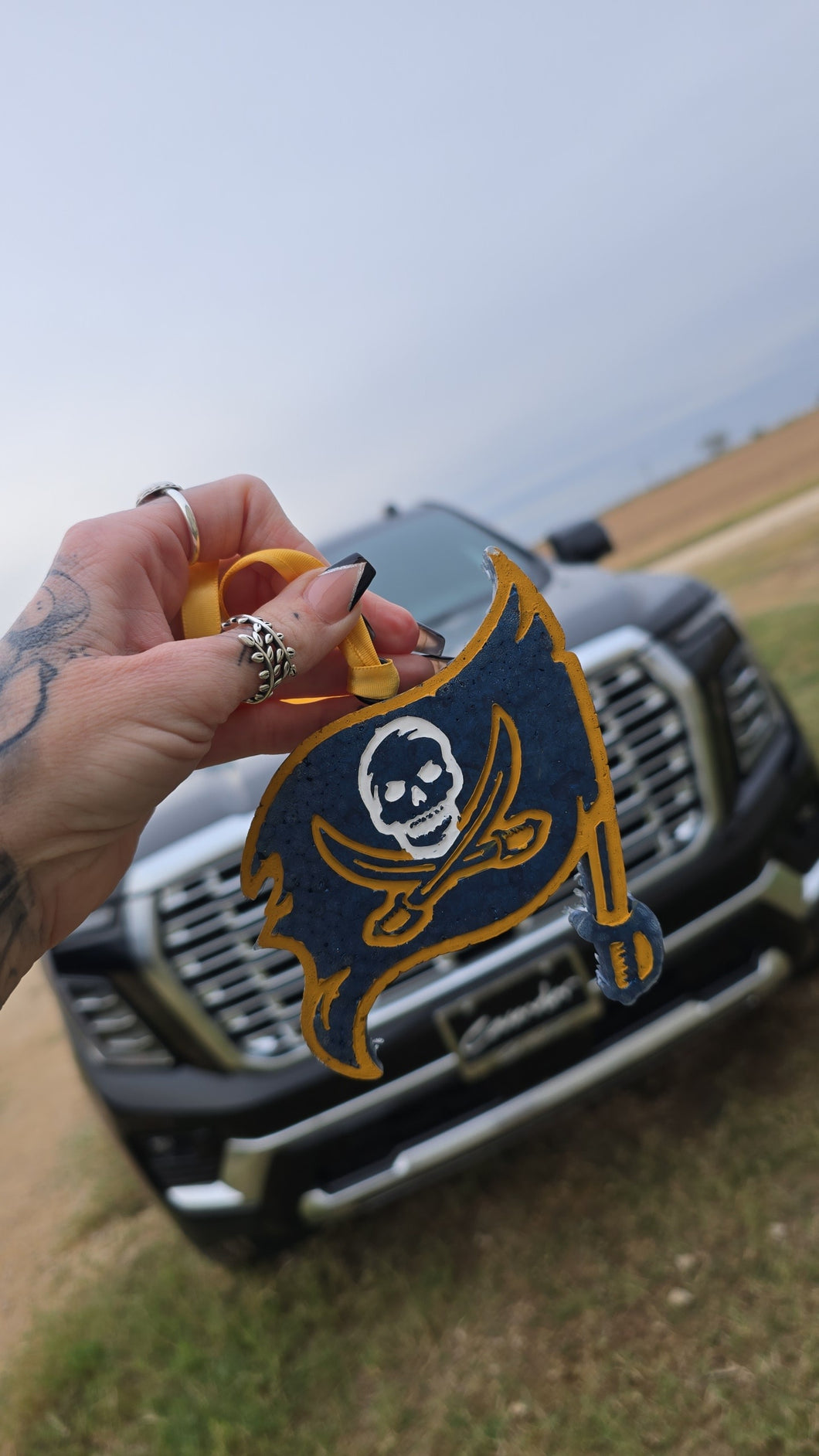 Poth Pirate Car Freshies