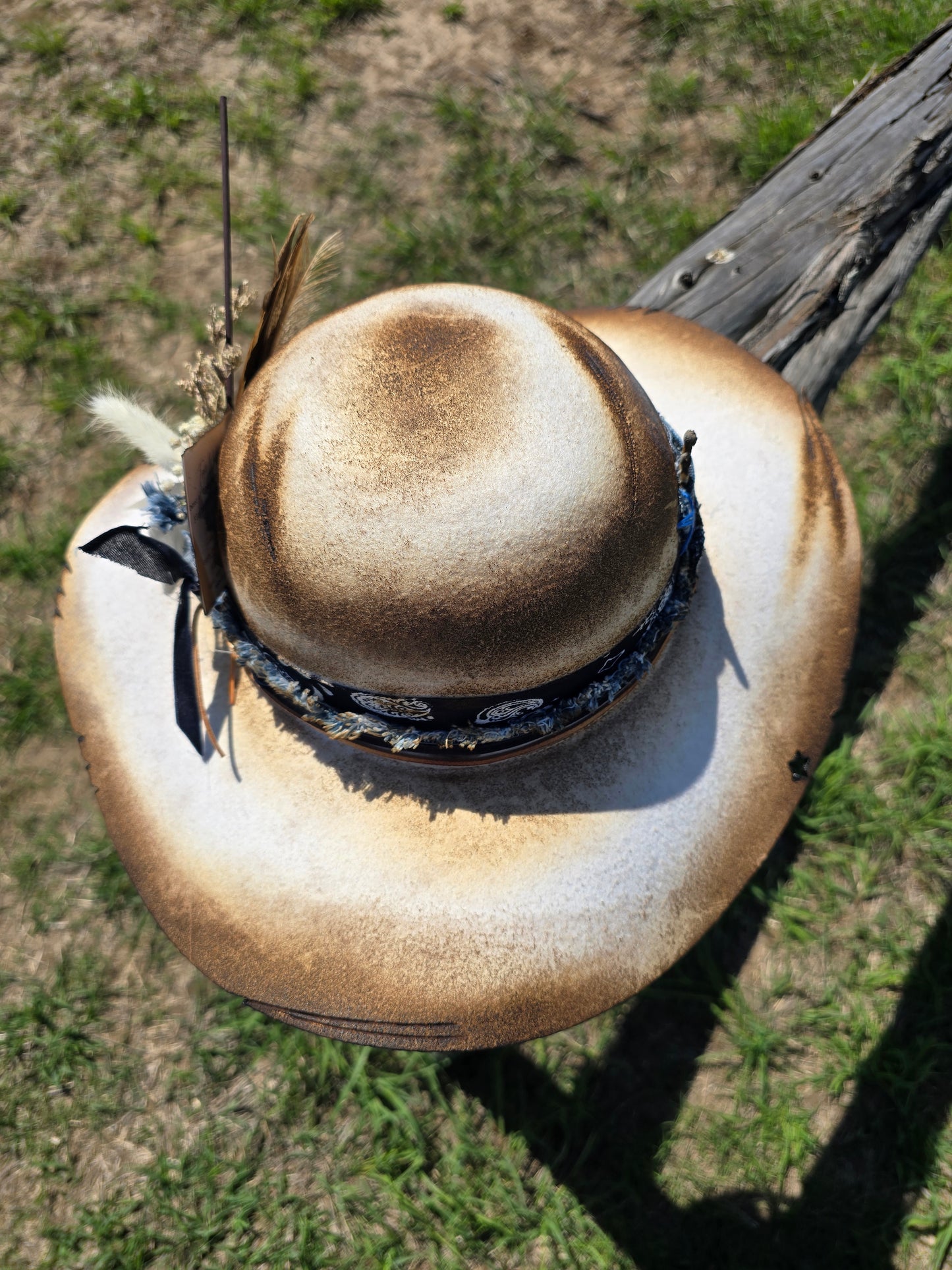The "Amarillo Armadillo" Lid