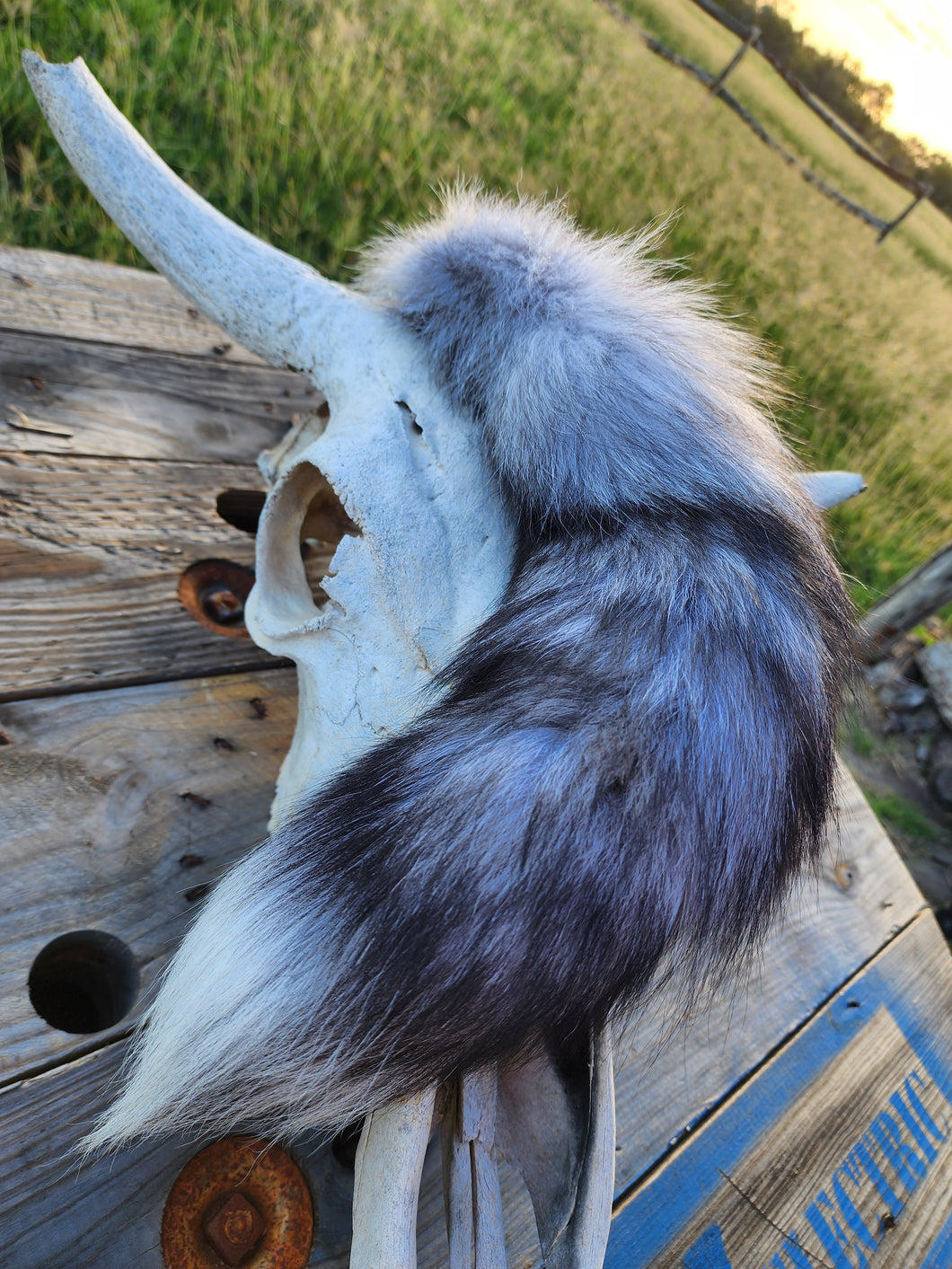 Foxy Lady Tail Accessory