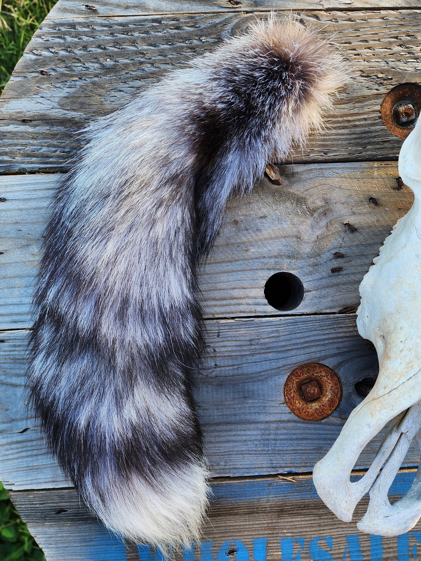 Foxy Lady Tail Accessory