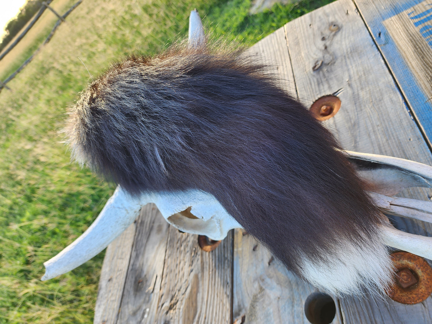 Foxy Lady Tail Accessory