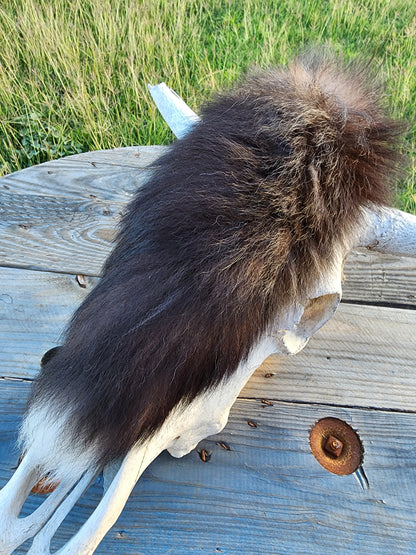 Foxy Lady Tail Accessory
